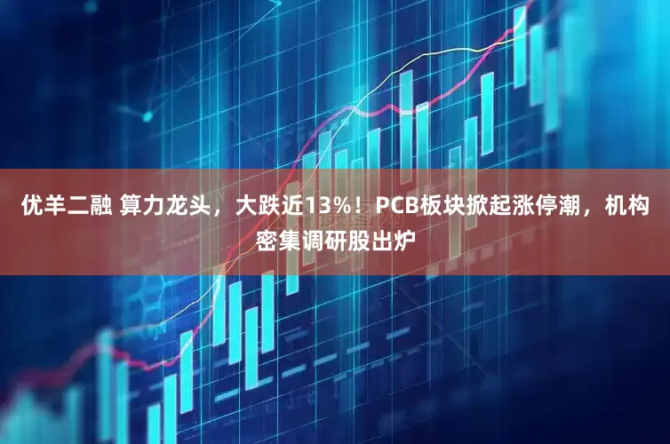 优羊二融 算力龙头，大跌近13%！PCB板块掀起涨停潮，机构密集调研股出炉