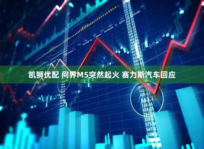 凯狮优配 问界M5突然起火 赛力斯汽车回应
